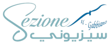 sezioneksa.com